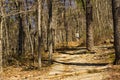 Hiker on Buck Mountain Trail Royalty Free Stock Photo